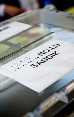 Referanduma yoğun katılım