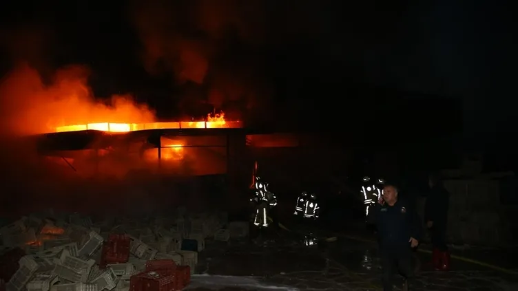 Hatay'daki yangın kontrol altına alındı