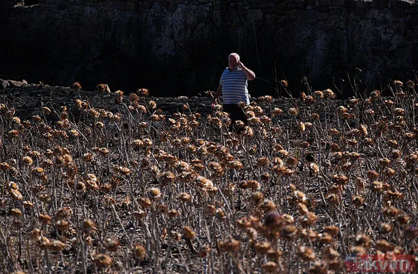 Çeşme yangınında zarar gören alanlar görüntülendi: Her şeyimiz yandı - 34