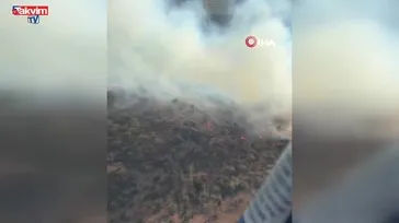 Aydın'da orman yangını!