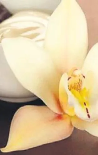 Buzdolabı temizliği | Pratik bilgiler