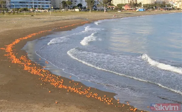 Mersin'de ilginç manzara! Sahile balık değil binlerce portakal vurdu - 9