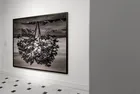 Vision Art Platform'un Unsettled sergisi küresel gerilimleri aynı çatı altında topladı