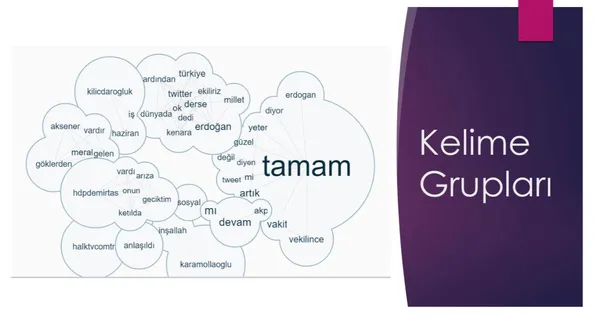 Twitter'daki kara propagandanın arkasında kimler var? TAMAM etiketine en çok hangi ülkeden destek verildi?-12