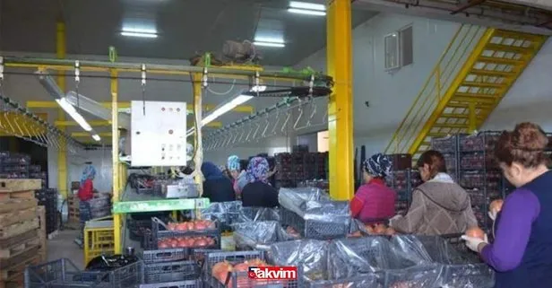 4.000 TL maaşla İŞKUR'dan en az ilkokul mezunu işçi alımı ilanları!