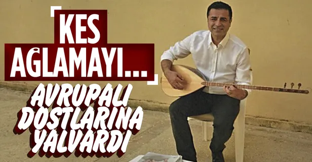 Teröristbaşı HDP'li Selahattin Demirtaş Alman hükümetine ağladı: Türkiye'ye baskı yapın