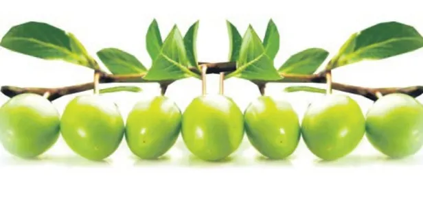 Vitamin deposu eriğin faydaları saymakla bitmiyor!