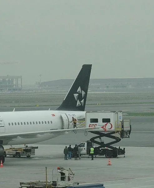 Türkiye'den, DEAŞ'lıların iadesi için stratejik hamle: Uluslararası hukuktaki 3 ayrı iade yöntemi kullanıldı-1