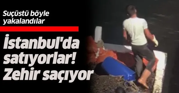 İstanbul’da zehirli midye tehlikesi! Toplarken böyle görüntülendiler
