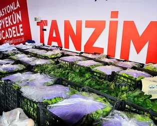 Tanzim satışa esnaf desteği