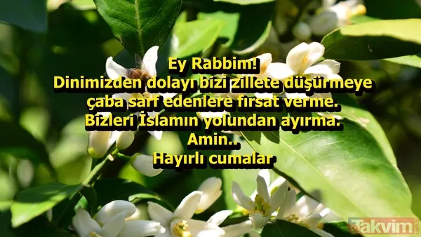 Cuma mesajları 2018! En güzel resimli cuma mesajları burada! Cumanız mübarek olsun - 22