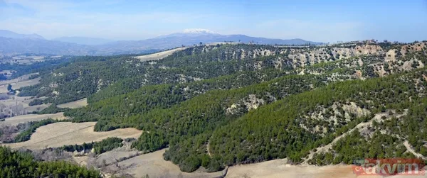 Orman Genel Müdürlüğü paylaştı! İşte yanan ormanların eski ve yeni hali: İzmir, Muğla, Çanakkale ve Balıkesir... - 2