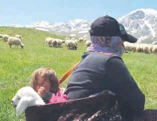 Yaylaya göç başladı