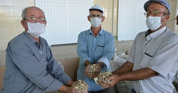 Çiftçimiz para kazanıyor