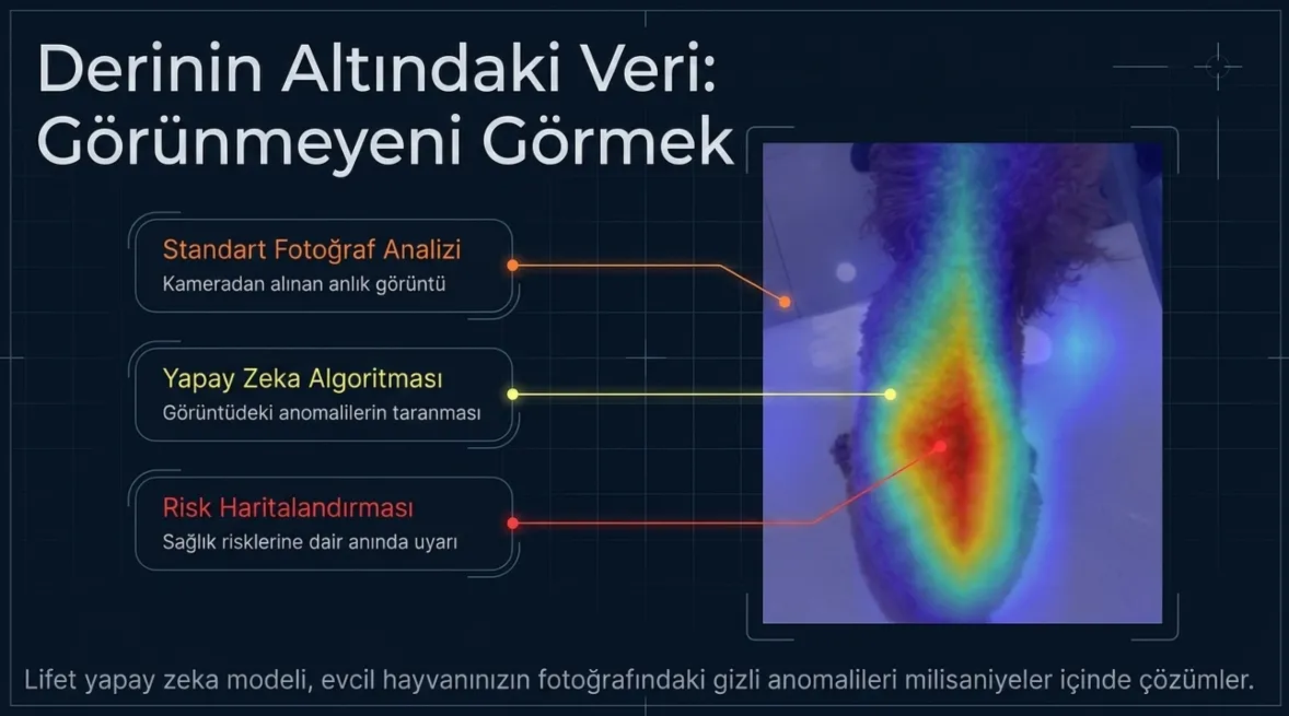 telefon-kamerasiyla-evcil-hayvan-sagligi-1781716400406.png Bu yapay zeka evcil hayvanınızın hastalıklarını fotoğraftan tanıyacak-5