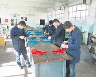 Meslek liseliye 390 TL