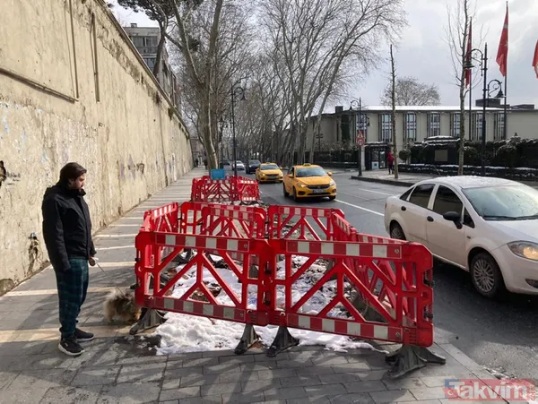 Gezici tayfa ve sözde çevrecilerin ikiyüzlülüğü! CHP'li İBB'nin ağaç katliamı karşısında dilini yuttular: Tepkiler çığ gibi - 1