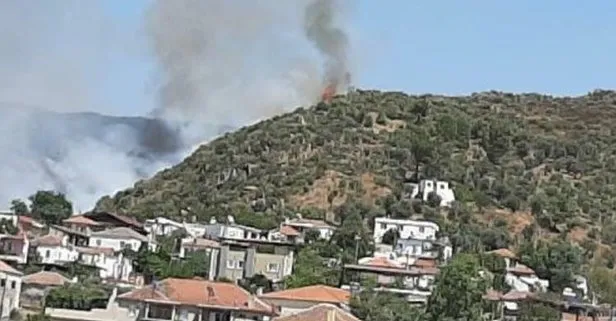 Milas’ta yerleşim yerleri yakınında orman yangını