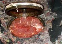 Hayvanlar bile yemez!