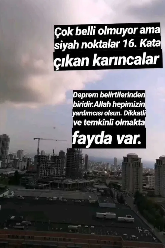 İstanbul depremine ilişkin ilginç iddia! ‘Yüksek kata çıkan karıncalar’ depremin habercisiydi-1