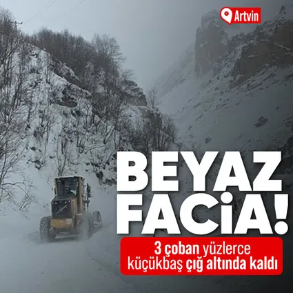 Artvin'de Ardanuç'ta çığ: 3 çoban mahsur kaldı!