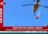 İzmir Dikili'de orman yangını