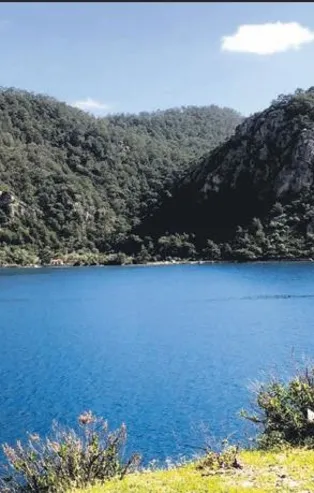 Mandıra değil magazin filozofları!