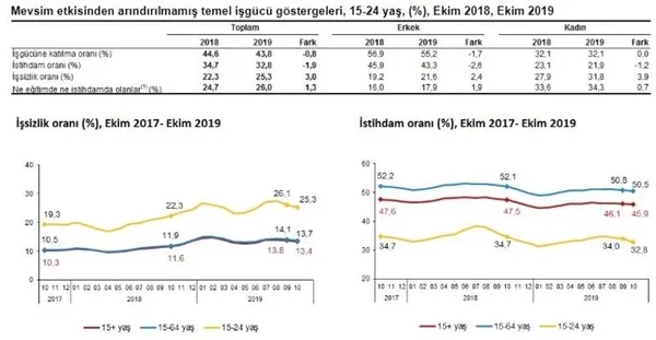 Son dakika: 2019 Ekim ayı işsizlik rakamları belli oldu-4