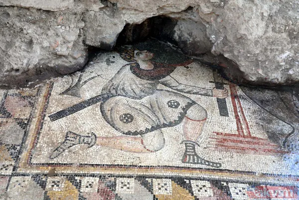 Kaçak kazıda bulunan mozaikler 98 parçaya bölünerek Zeugma Mozaik Müzesi'ne taşınıyor - 9