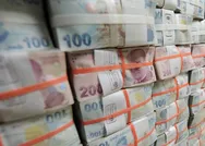 Son dakika: Bakan Pakdemirli duyurdu! Bugün hesaplara yatırıldı