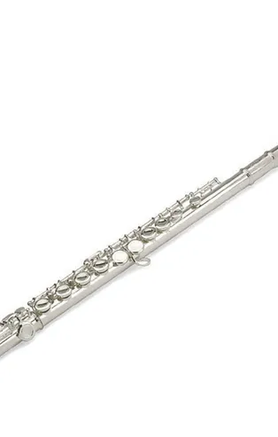 Rüyada flüt görmek ne anlama gelir?