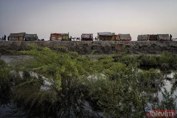Pakistan'da felaket üstüne felaket! Selin ardından salgın hastalık vurdu - 30