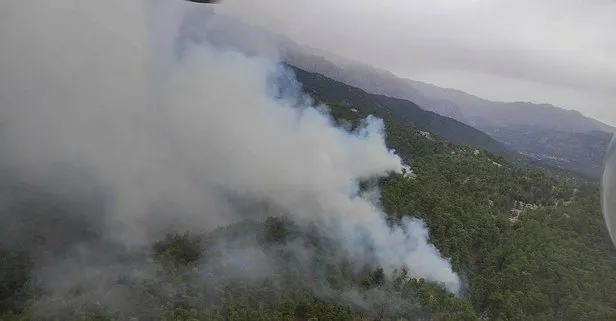 SON DAKİKA: Manavgat’ta orman yangını