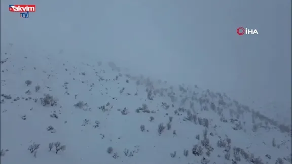 Batman’da ağıla çığ düştü: 45 küçükbaş hayvan telef oldu