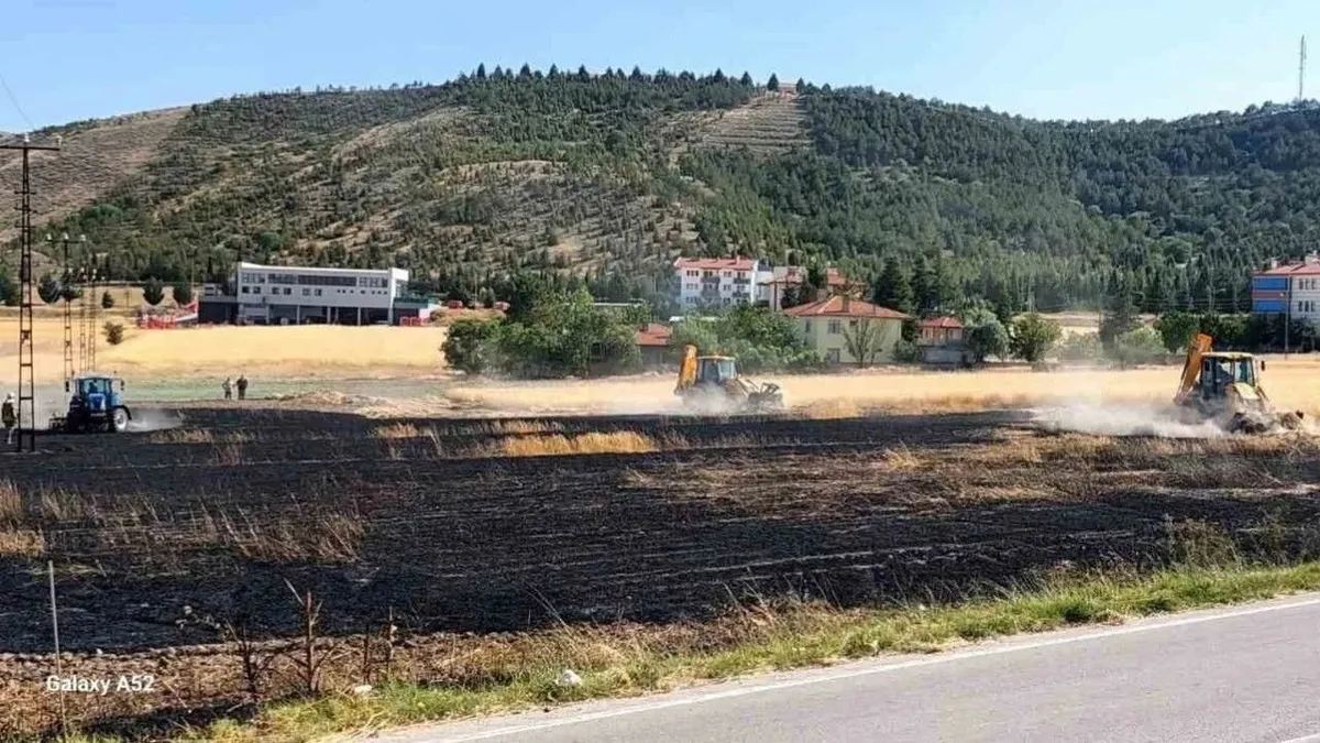 Beypazarı'nda tarla yangını