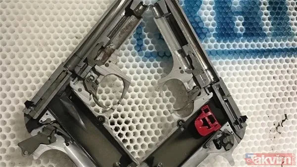 Çıngıraklı yılanın kuyruğundan çıkanlar görenleri şoke etti! Sonrasında ise... - 42