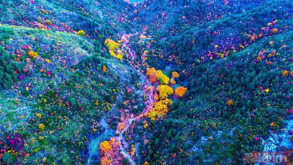 Manisa'da Spil Dağı Milli Parkı'nda muhteşem manzaralar - 2