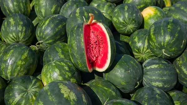 yaz-doneminin-gozdesi-karpuz-pazar-tezgahlarina-80-tlden-giris-yapti-1618471125743.jpg Yaz döneminin gözdesi karpuz pazar tezgahlarına 80 TL'den giriş yaptı-5