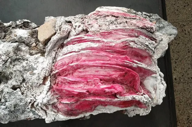 Yüzerken bulmuştu ne olduğu ortaya çıktı