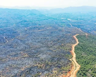 Yangın kontrol altında