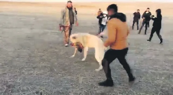 Afyon’da baba ve kızı birer gün arayla kanserden hayatını kaybetti-11