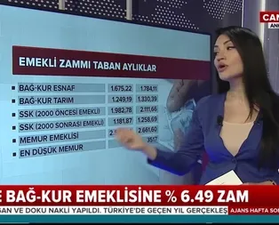 Emekli ve memurların 2020 yeni maaşları belli oldu! İşte meslek meslek yeni maaşlar