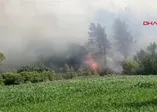 Muğla Dalaman'da korkutan orman yangını