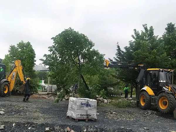 Beylikdüzü'nde katliam var! Türkiye Deniz Canlıları Müzesi'ni yıkan CHP'li belediye bu kez de 160 ağacı söktü!-5