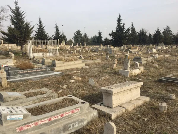 mezarliktan-gelen-ilginc-ses-isim-bulunmayan-kabrin-basinda-keman-caldirdi-1610516764430.jpg Mezarlıktan gelen ilginç ses! İsim bulunmayan kabrin başında keman çaldırdı-8