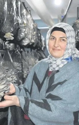 Hibe destek tesis sahibi yaptı