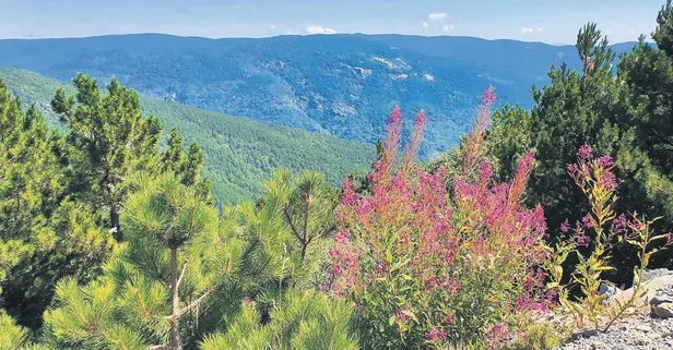 Yeşil ve mavinin buluştuğu şehir: Balıkesir