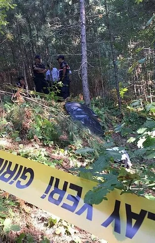Zonguldak'ta ayı saldırısına uğrayan kişi öldü