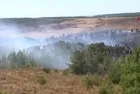 Çanakkale Bozcaada'da tarım arazisinde başlayan yangın ormana sıçradı