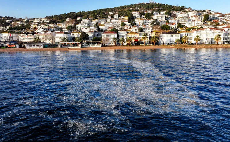 Kınalıada'da müsilaj (AA)